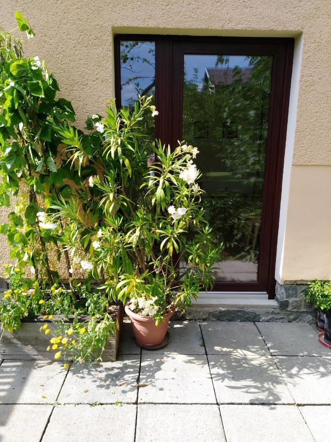 Ubytovani Bludov U Lazni Eksteriør bilde